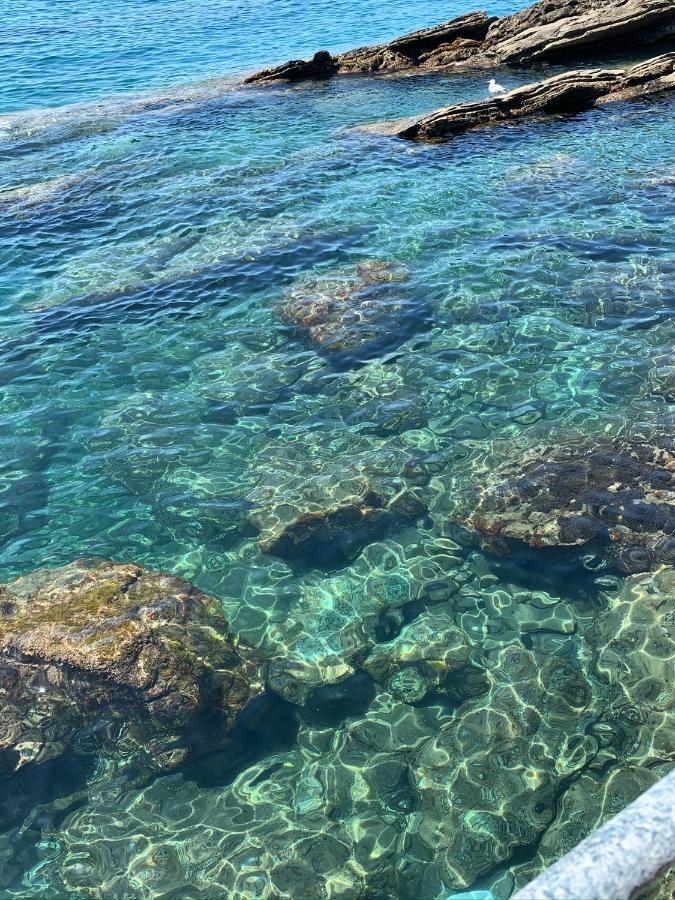 Casa Venezia Leilighet Rapallo Eksteriør bilde