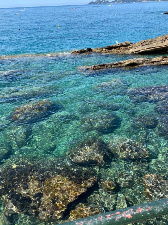 Casa Venezia Leilighet Rapallo Eksteriør bilde