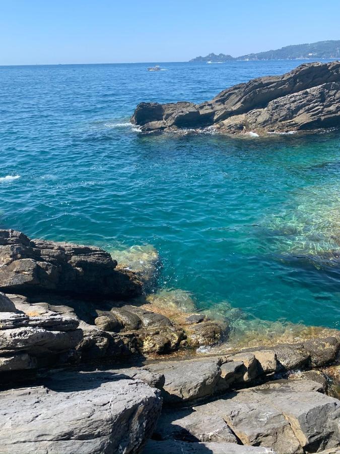 Casa Venezia Leilighet Rapallo Eksteriør bilde